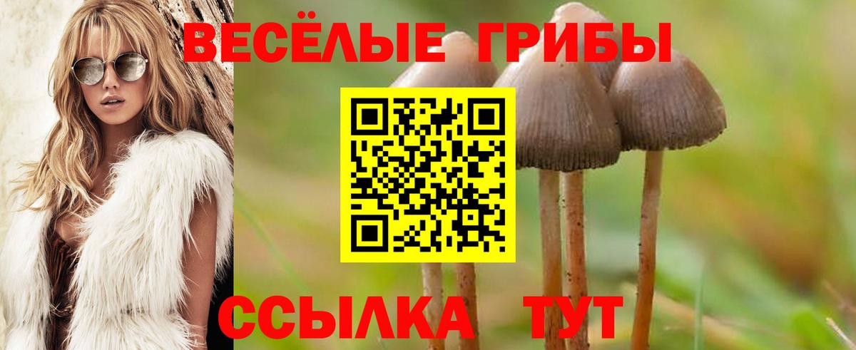 Псилоцибиновые грибы мицелий Калач-на-Дону