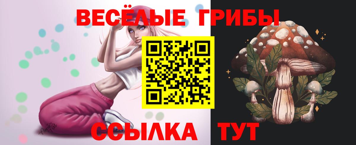 Калач-на-Дону  Галлюциногенные грибы прущие грибы  Галлюциногенные грибы MAGIC MUSHROOMS  Вход с VPN 